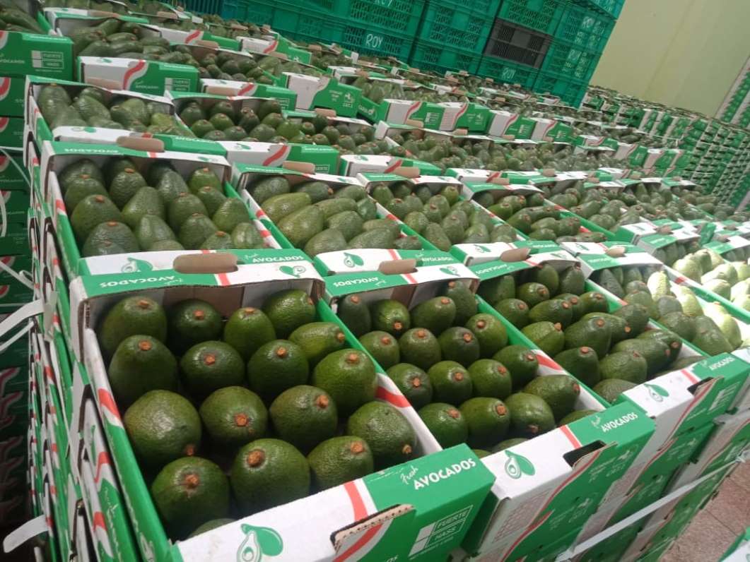 Fresh Produce Logistics