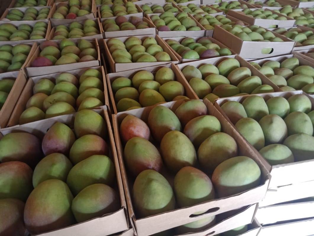 Cold Chain Logistics